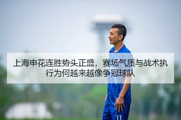 上海申花连胜势头正盛，赛场气质与战术执行为何越来越像争冠球队